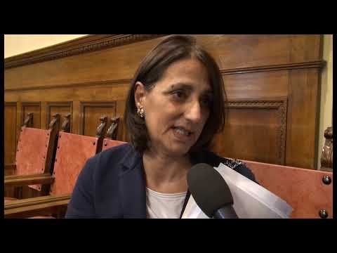 Sicurezza, l'assessore Magi: 