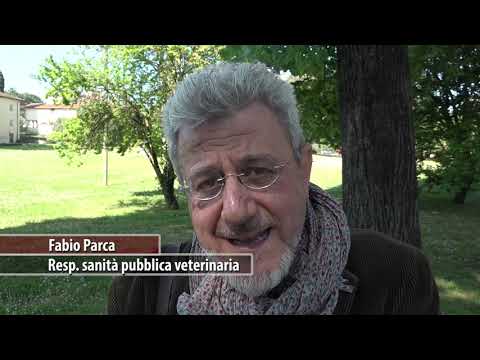 Benessere degli animali: potenziato ad Arezzo il servizio veterinario della Asl