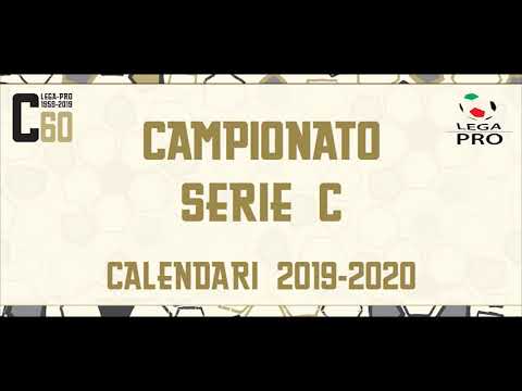 Orgoglio Amaranto ringrazia Anselmi e chiede trasparenza. Ecco il calendario dell'Arezzo