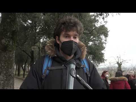 Continuano le proteste degli studenti, argomento centrale l'alternanza scuola-lavoro