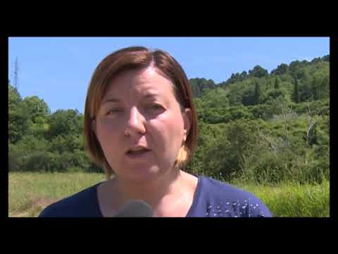 Truffa a decine di risparmiatori: arrestato “padre” Massimiliano. Investimenti anche nell'Aretino