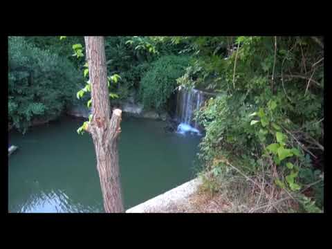 Adama, domani l'ultimo saluto di Bibbiena. Poi il ritorno verso l'Africa