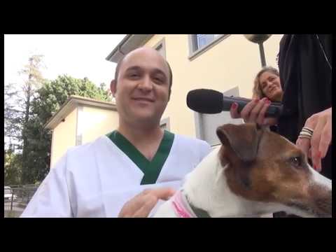 Arezzo, arriva la Pet therapy per gli operatori dell'Hospice