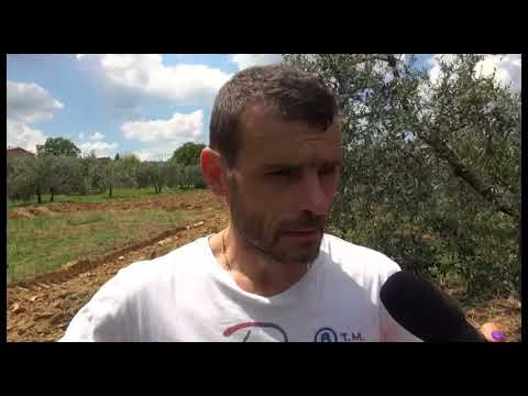 Mercatale(Ar). Ladri in fuga con 31 arnie e 500 kg di miele: colpo da 20mila euro