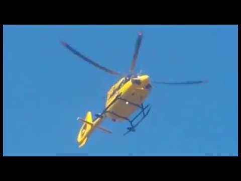 Cortona, cade da un ulivo: ferito 59enne