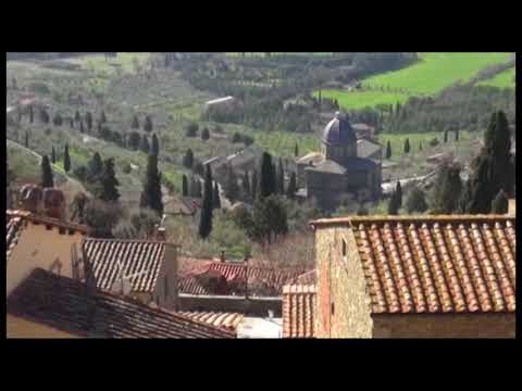 Violentata dal marito, il legale della donna: 