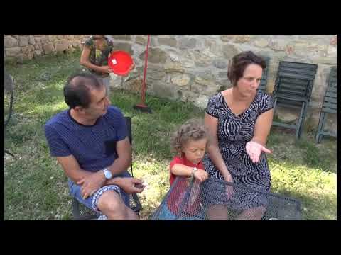 Classe troppo numerosa per una bambina disabile: la battaglia dei genitori