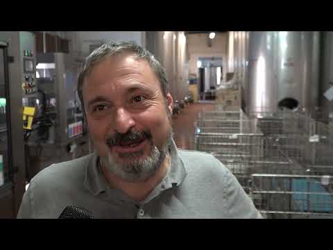 Vendemmia 2022, un'ottima annata nonostante l'incognita siccità