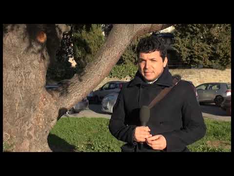 Sos Arezzo Tv - Parco Pertini, dopo la nostra puntata il Comune lancia la sua riqualificazione