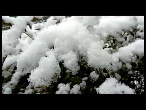 Maltempo, è caduta la prima neve anche sull'Aretino