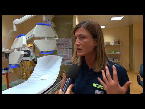 Punture di insetto,numerosi interventi del 118 nelle ultime due settimane