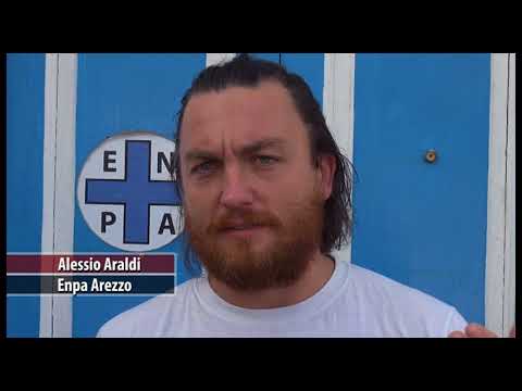 Estate 2018, cresce ad Arezzo il numero di cani e gatti abbandonati