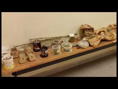 Sorpreso con due chili di marijuana e 40 piante in casa: arrestato un 50enne