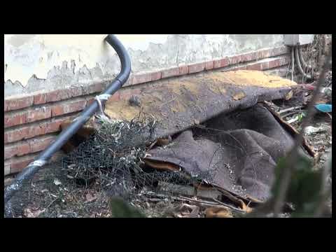 Occupavano abusivamente edifico comunale, blitz della Polizia Locale: due denunce