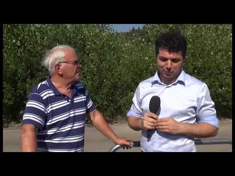 Sos Arezzo Tv - Maratona dello stadio, degrado senza soluzioni all'orizzonte
