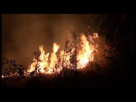 Incendi, in Toscana scatta il divieto assoluto di accensione fuochi
