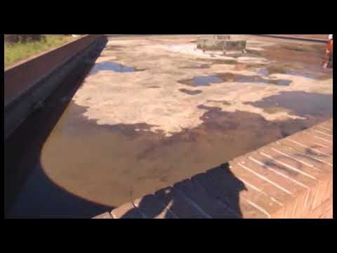 Parco Ducci, Parco Arno e Foro Boario: via alla riqualificazione