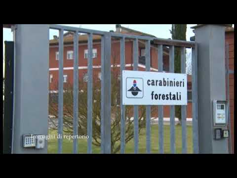 Abbandonano rifiuti in campagna, ripresi dalle telecamere: raffica di multe