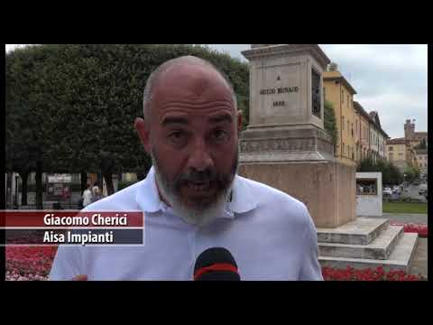 Nuovo look per piazza Guido Monaco: piantati settemila fiori