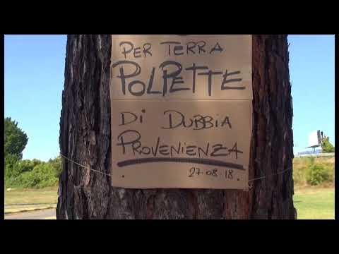 Via Galvani, l'appello di una cittadina: “attenzione, polpette sospette”