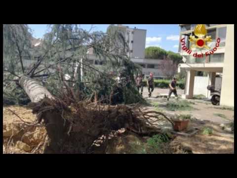 Via Tiziano, albero si abbatte su due balconi