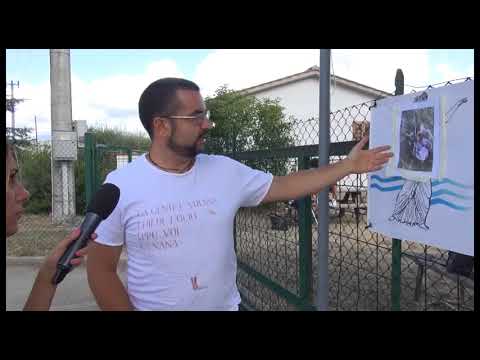 Venere(Ar). Ancora un atto contro Sisi, 