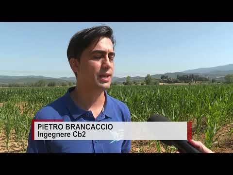 Siccità, distretti irrigui: 