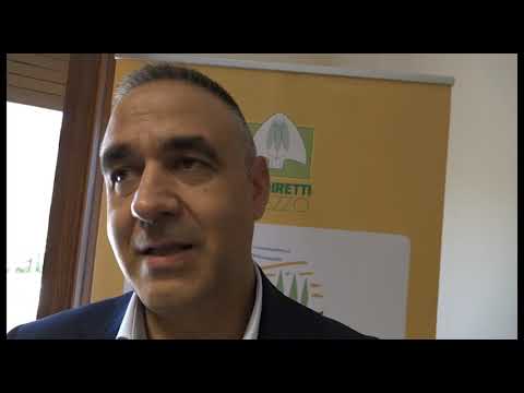 Arezzo, nasce il primo ufficio dedicato al mondo dell'agriturismo