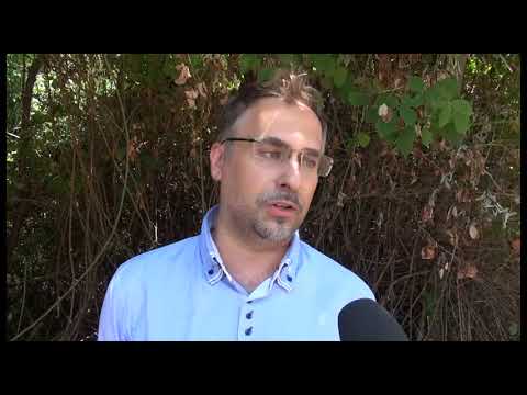 Promozione turistica, l'appello di Comanducci: 